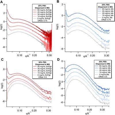 Encapsulation of sugar beet phytoglobin BvPgb 1.2 and myoglobin in a lipid sponge phase system